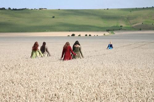 Women walking together through a golden wheat field