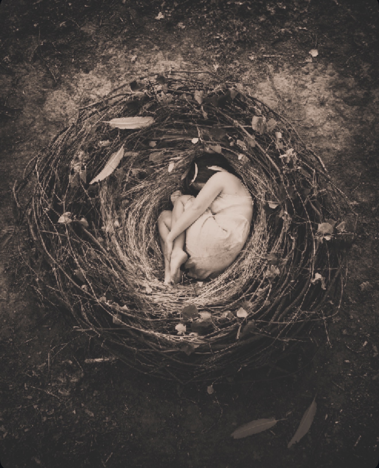 Artwork by Sarah Treanor: a woman curled up asleep in a large nest of branches