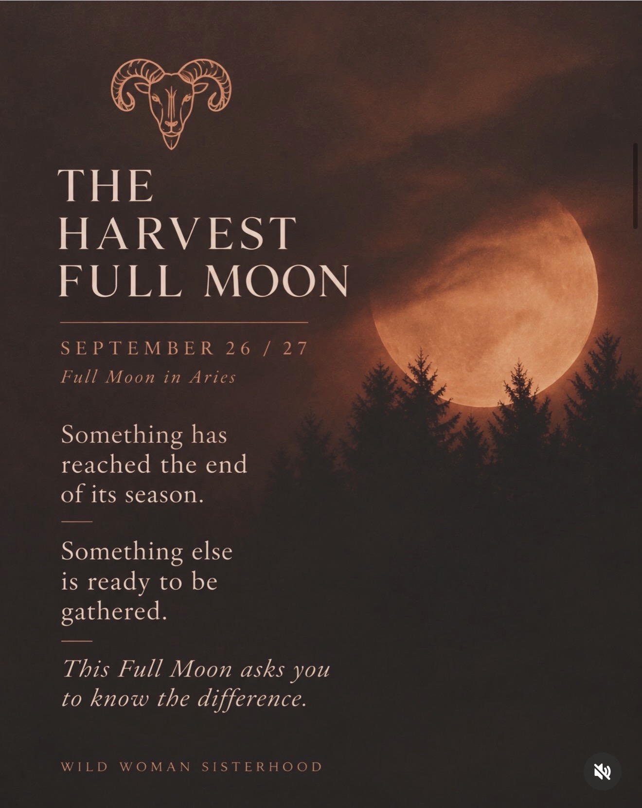 Instagram post: The Harvest Full Moon, September 26/27, Full Moon in Aries. Something has reached the end of its season. Something else is ready to be gathered. This Full Moon asks you to know the difference.